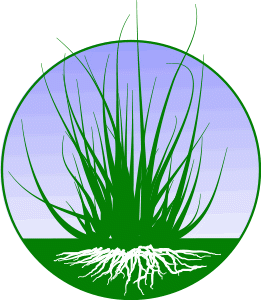 Grass Roots NLP