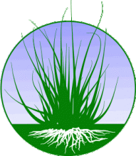 Grass Roots NLP